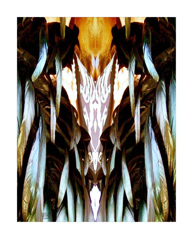 flat gailtopcopyright