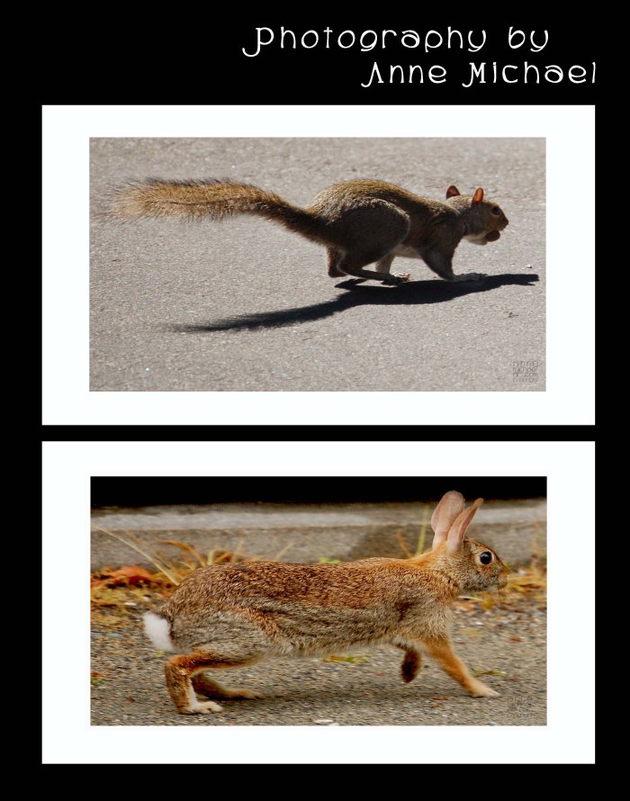 portrait photography44