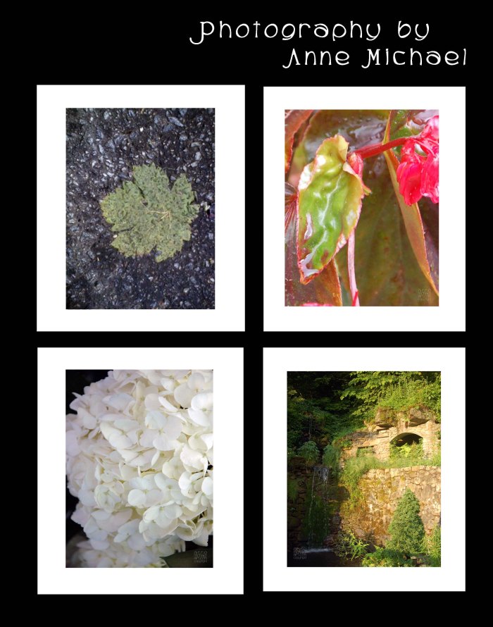 portrait photography59