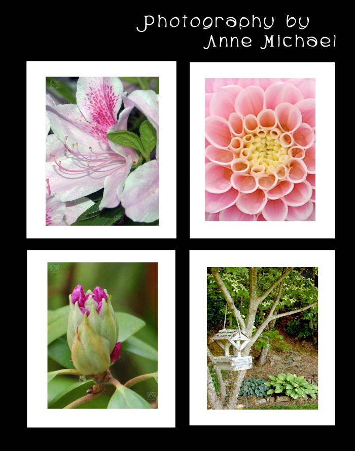 portrait photography61