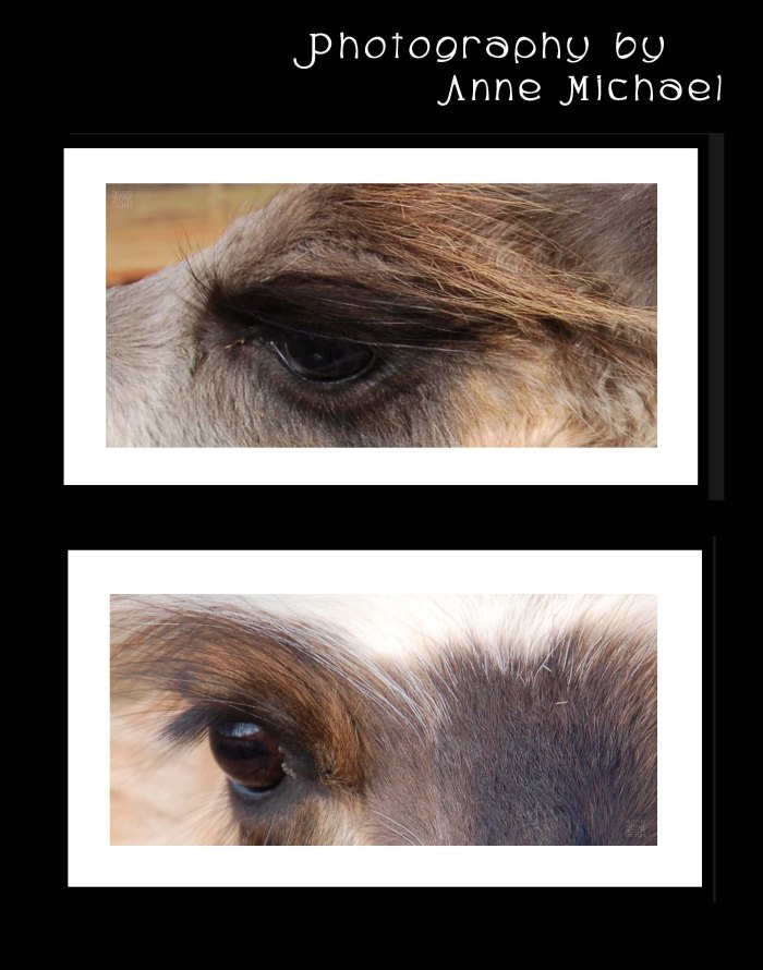 portrait photography72