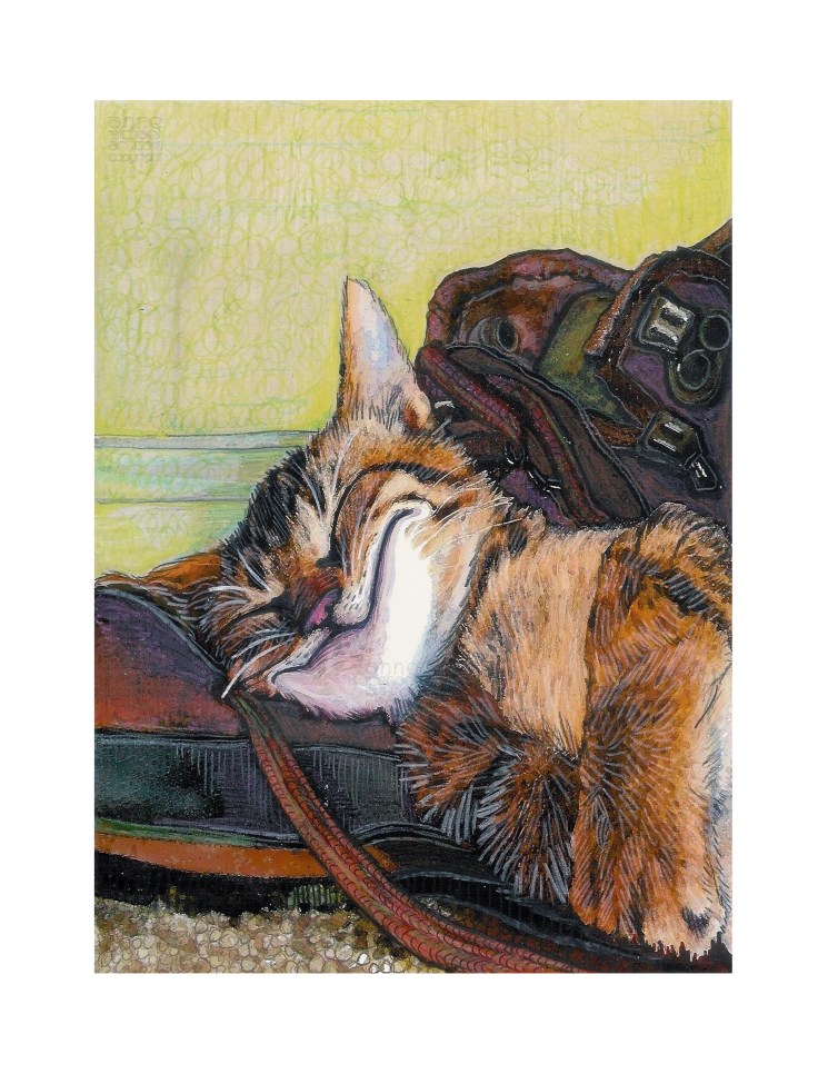 binx sleeping on bootcopyright