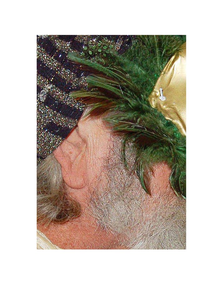 close up of head and mask copyright